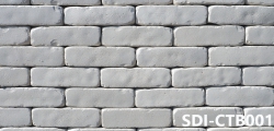 SDI-CTB001  Custom Brick